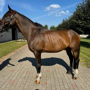 Agriano (Axwell Agriano)