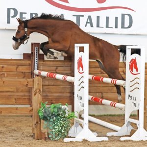 Carthino D’Ampezzo Z