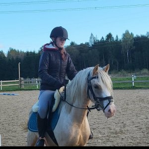 Scheerdonk Lady Chloe